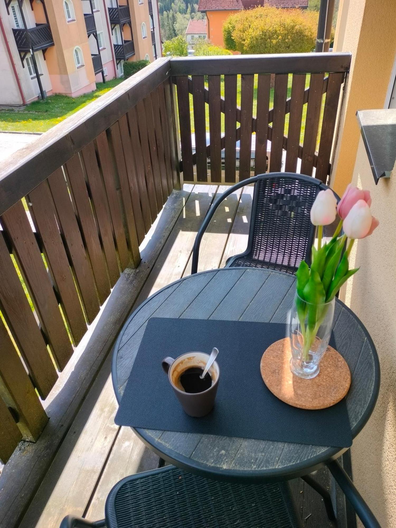 Apartman Aja - Липно над Вълтава Екстериор снимка